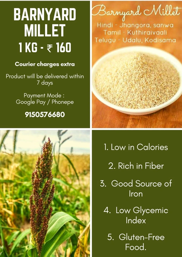 Barnyard Rice ( குதிரை வாலி அரிசி ) - 1 kg