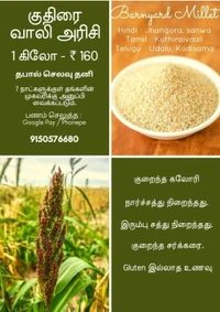 Barnyard Rice ( குதிரை வாலி அரிசி ) - 1 kg