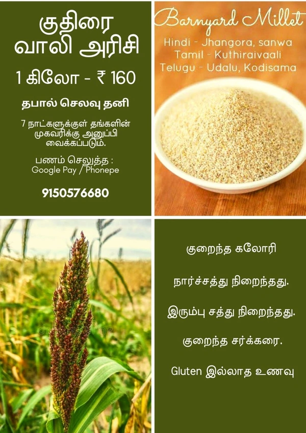 Barnyard Rice ( குதிரை வாலி அரிசி ) - 1 kg