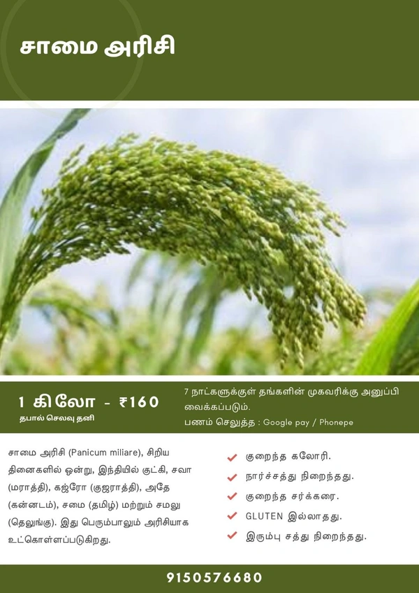 Little Millet ( சாமை அரிசி ) - 500 gms
