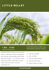Little Millet ( சாமை அரிசி ) - 500 gms