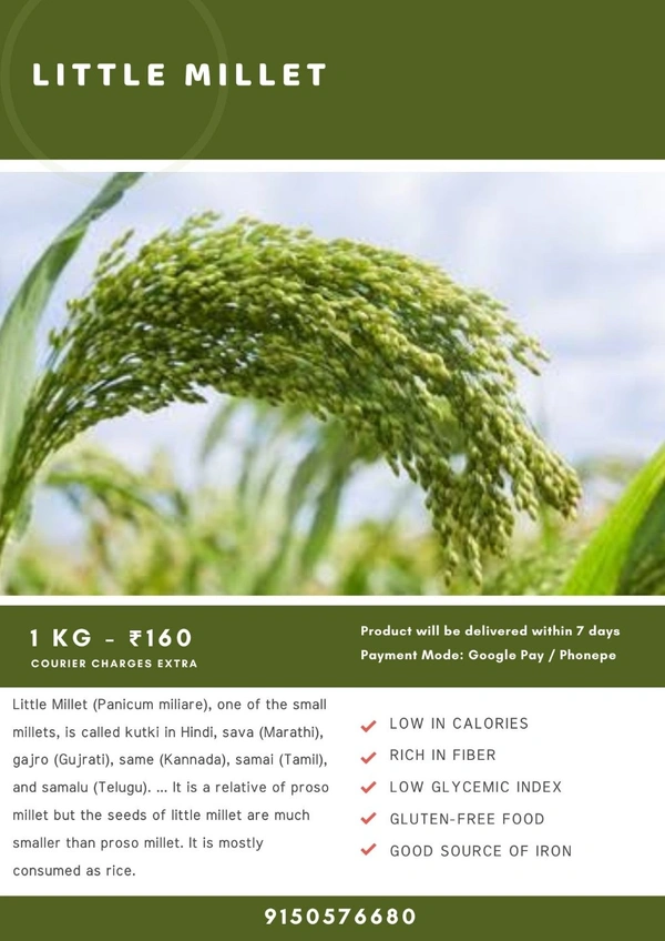 Little Millet ( சாமை அரிசி ) - 500 gms