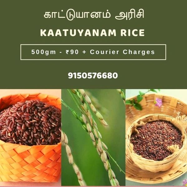 Kaatuyanam Rice ( காட்டு யானம் அரிசி ) - 500 gms