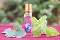 Minsara Thailam - மின்சார தைலம் - 10ml