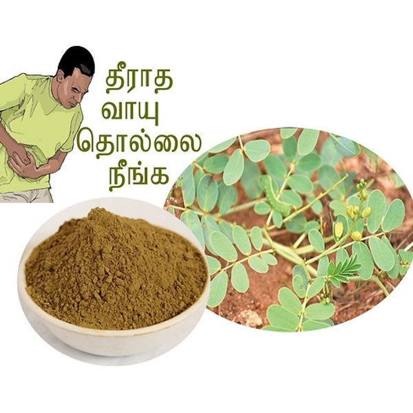 Gastric Powder - வாயு சூரணம் - 60gms