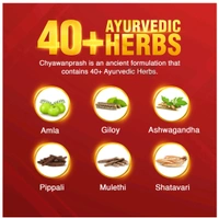 Dabur Chyawanprash 2kg - 2kg