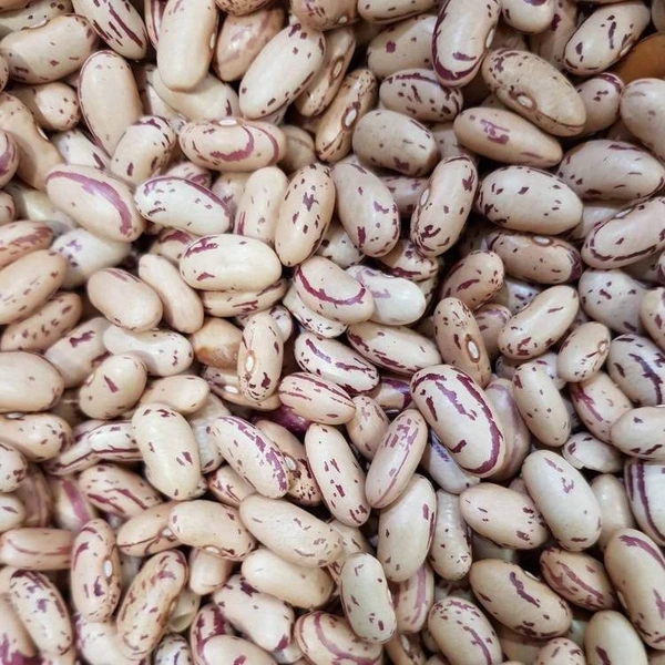 Rajma - Chitra - 500 Gm