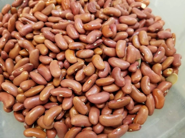 Rajma - Kashmiri - 1 Kg
