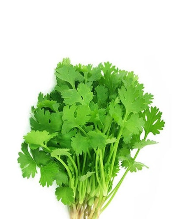 Coriander Leaf / Hara Dhaniya Patta - 100 Gm