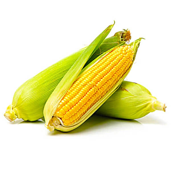 Corn / Makka - 500 Gm