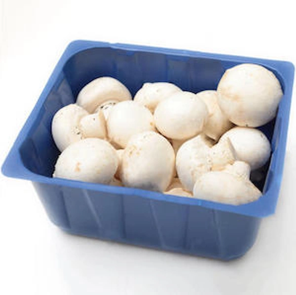 Mushroom - 200 Gm