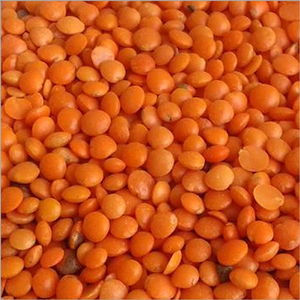 Malka Masoor - 500 Gm