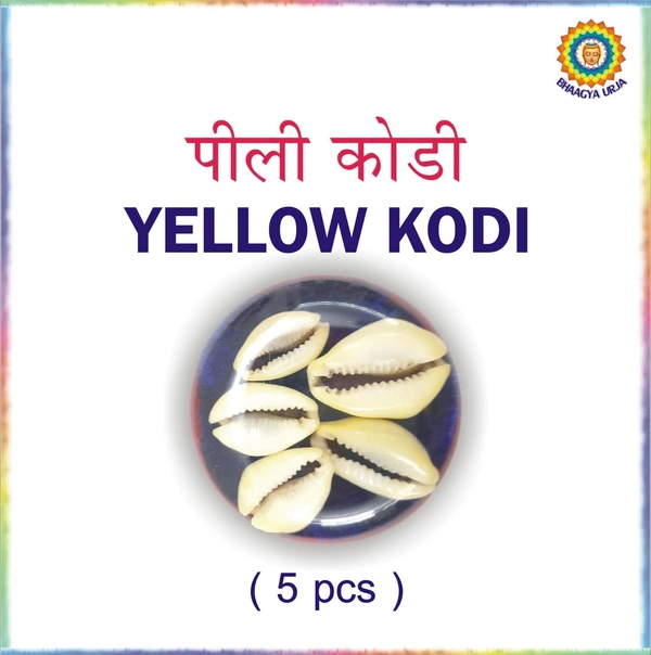  Original Yellow Codi (Pack of 5)