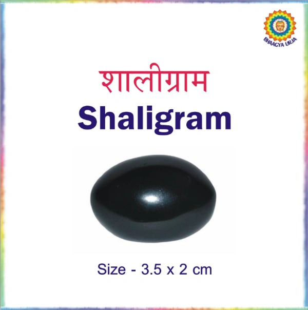 Original Shaligram