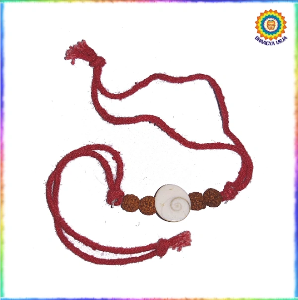 Gomtichakra & Rudraksh Raksha Potli 