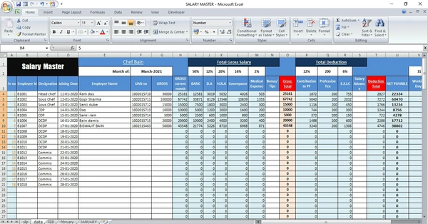 HR Salary Format Professional