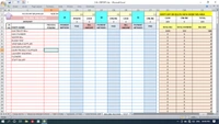 (Flexible)PROFIT & LOSS + INVENTORY format 