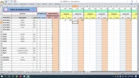 (Flexible)PROFIT & LOSS + INVENTORY format 