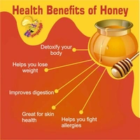 Forest Honey 250gm Glass Jar