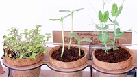 Funvention | Garden Drip Irrigation Kit DIY Science Educational Toy, STEM Learning Kit, Birthday Gifts - Multi, Yes, No, High Quality Engineered Wood, Paper, Coir Pot, Seeds & Soil Coin, 40 x 15 x 20 cm, Funvention, 800 grams, Shipping Charges will be added during checkout. Order will be shipped within 2-4 working days. Delivery time may vary due to COVID-19 , rainy season and delivery location.  TrackingID will be provided  to check the  real time status of delivery. For any further queries related to orde