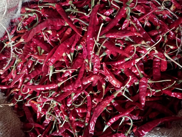 Mirchi Lal - 1 kg