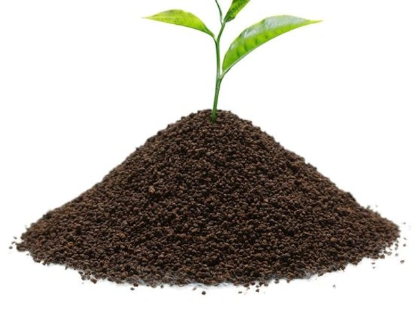 Tea Powder Loose - 250 gm