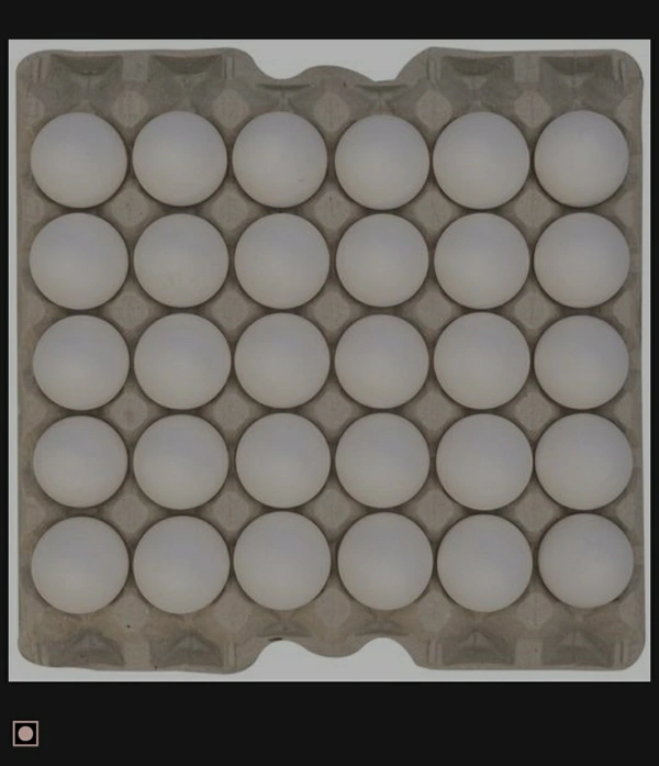 Eggs 