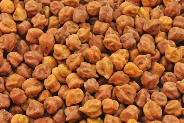 चना - 500g