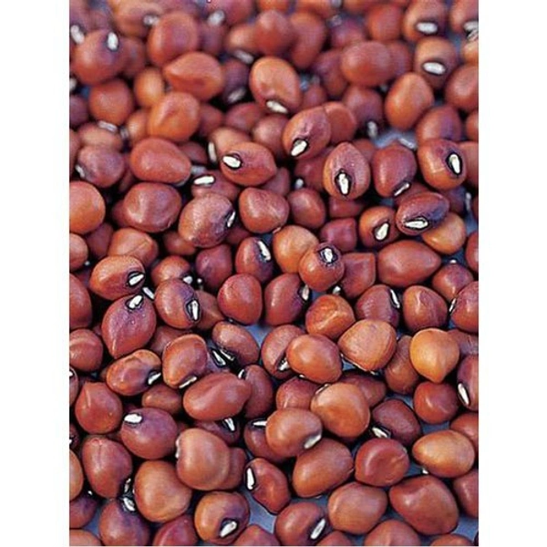 लाल चवली - 500g