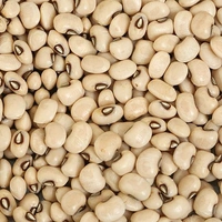  चवली - 250g