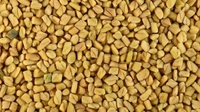 मेथी - 1kg