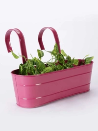 Oval Railing Planter Large Pink