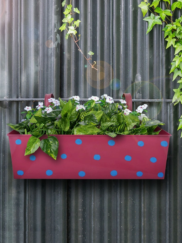 Polka Dot Rectangle Planter Pink