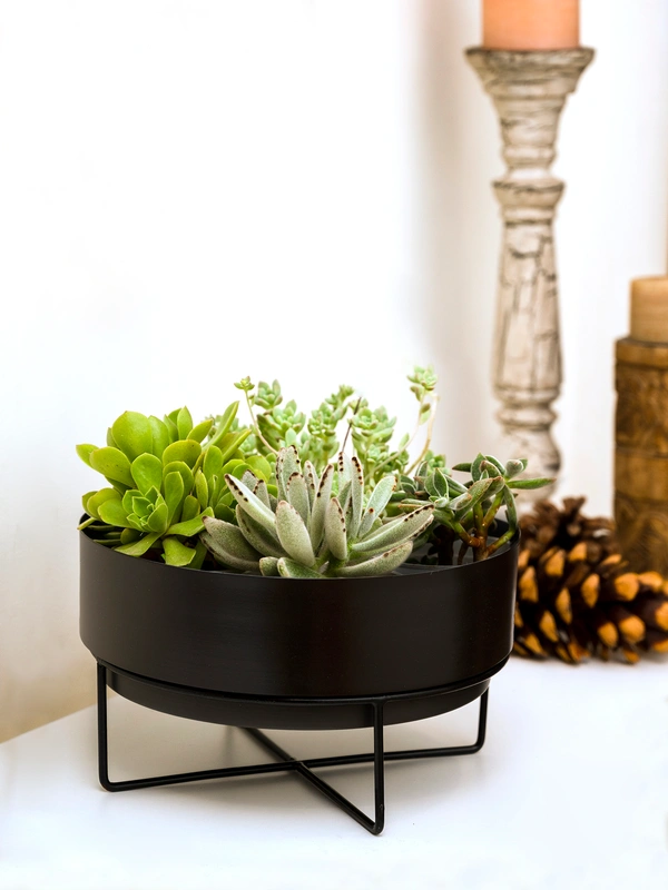 Black Planter Pot with Black Metal Stand
