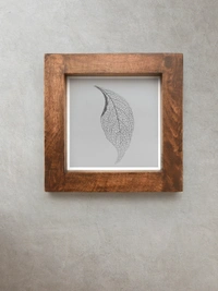 Green girgit Wooden Square Wall Shelf
